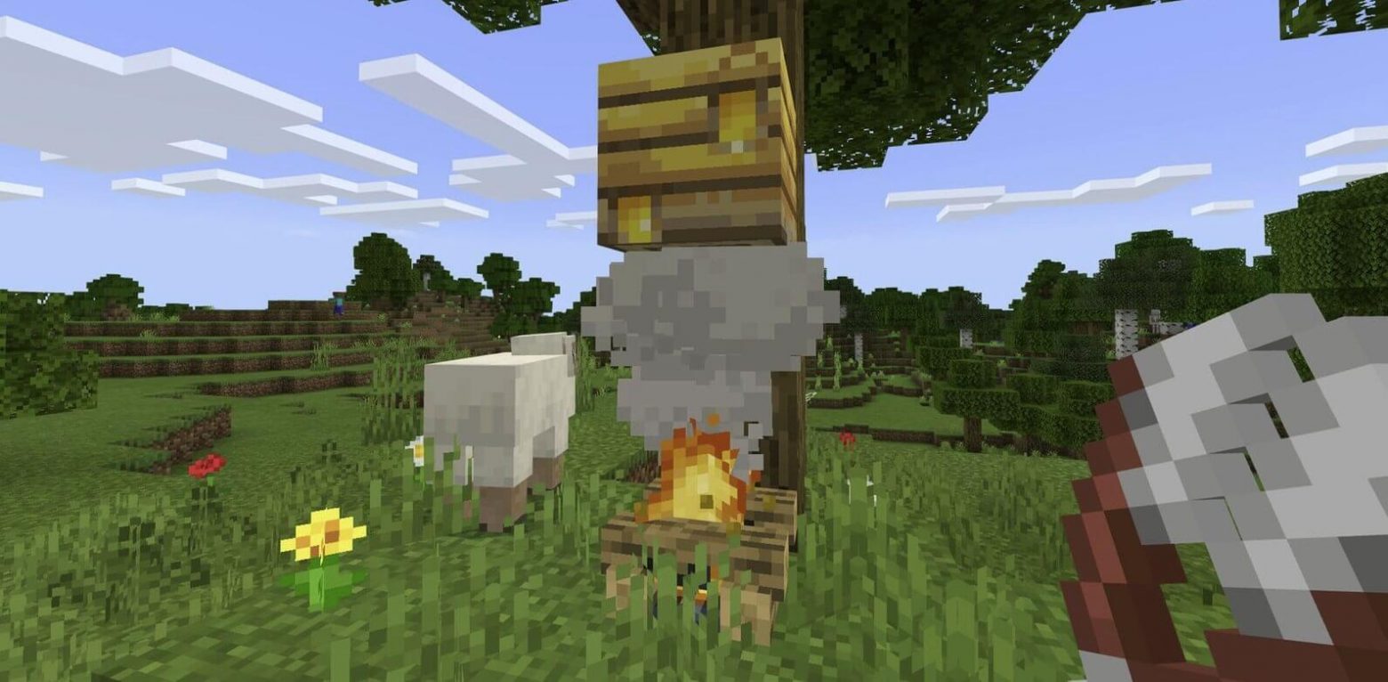 How To Get Honey From A Beehive In Minecraft GameCMD